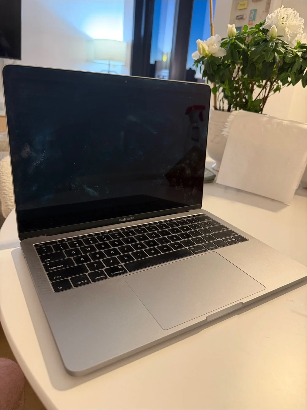 Apple MacBook Pro Silver 13 inch